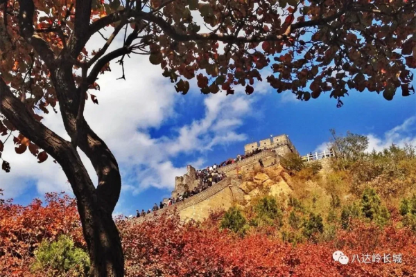 北京八達嶺長城和北京慕田峪長城哪個更好玩？