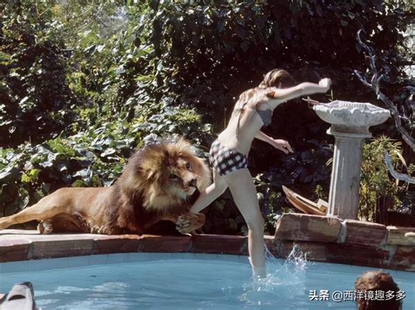 妮可·基德曼的羊駝，施瓦辛格的驢子，看看他們都在養哪些神獸