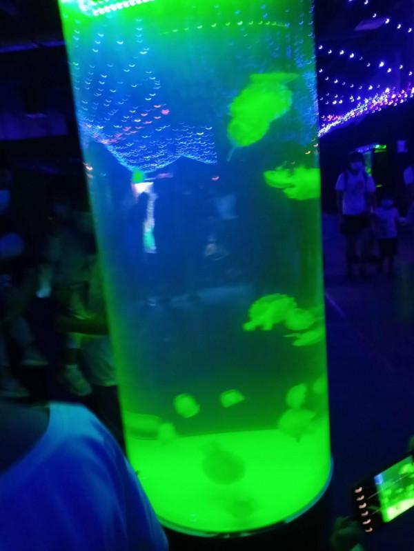 新海洋世界，值得去玩嗎？