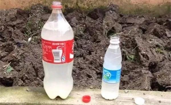 淘米水加點料,沒有異味,肥效能翻10倍,養啥花都旺 淘米水加點料,沒有異味,肥效能翻10倍,養啥花都旺