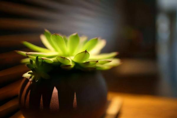 品格三境界,自身的修養,在慾望中的剋制,法制道德約束後的改過 品格三境界,自身的修養,在慾望中的剋制,法制道德約束後的改過