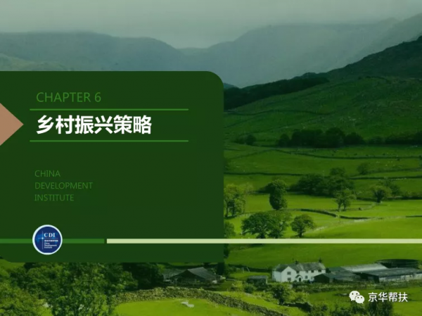 鄉村振興戰略下發展規劃、投融資規劃、城鎮發展策略、經典案例