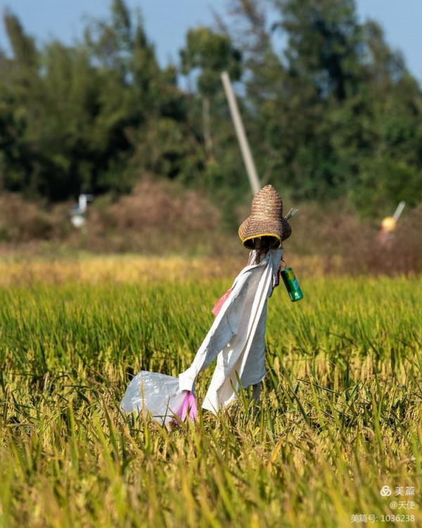「視覺廣東」稻草人