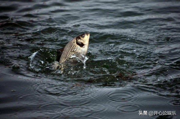 農村逐漸“消失”的5種小魚，兒時用蚯蚓能釣到，現在卻不常見