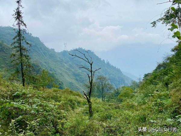 距成都80多公里的冷門徒步勝地，山中風景原始，古道滄桑古廟深藏