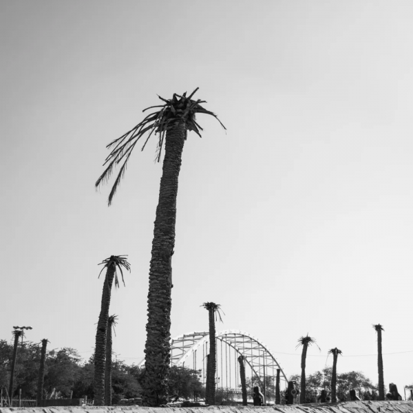 伊拉克，熱炸了｜地球知識局