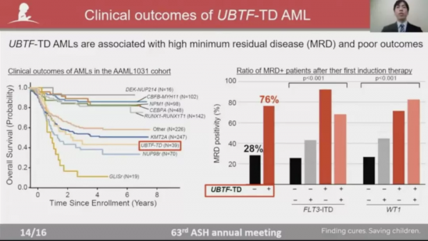 基因突變與克隆性造血有哪些聯絡，又如何指導AML危險分層？