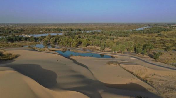 21世紀西行漫記(十一)——新疆棉花的謊言與夢想 21世紀西行漫記(十一)——新疆棉花的謊言與夢想