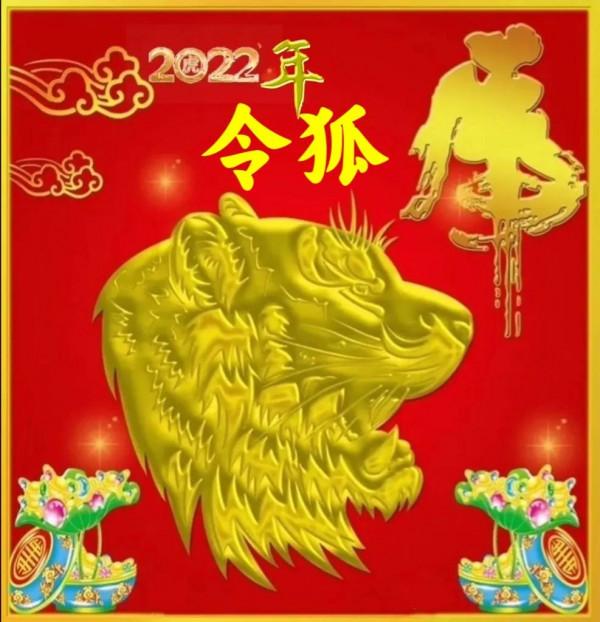 2022年金虎姓氏頭像十二