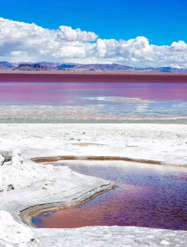 西藏唯一粉色鹽湖，人少景美免門票！比青海茶卡還大兩倍