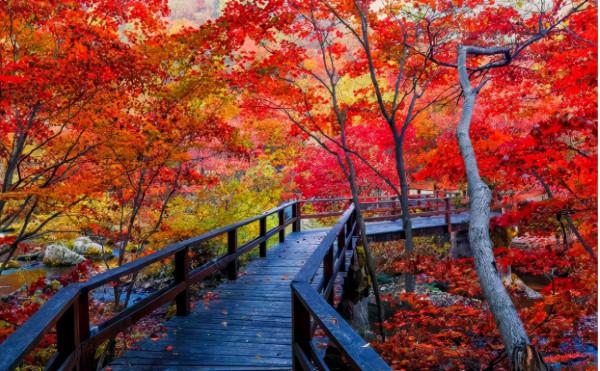 避開擁擠的人潮，7個值得去的北京賞紅葉之地