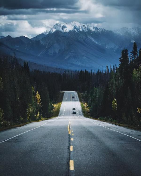 適合發朋友圈的句子，總有一句適合你