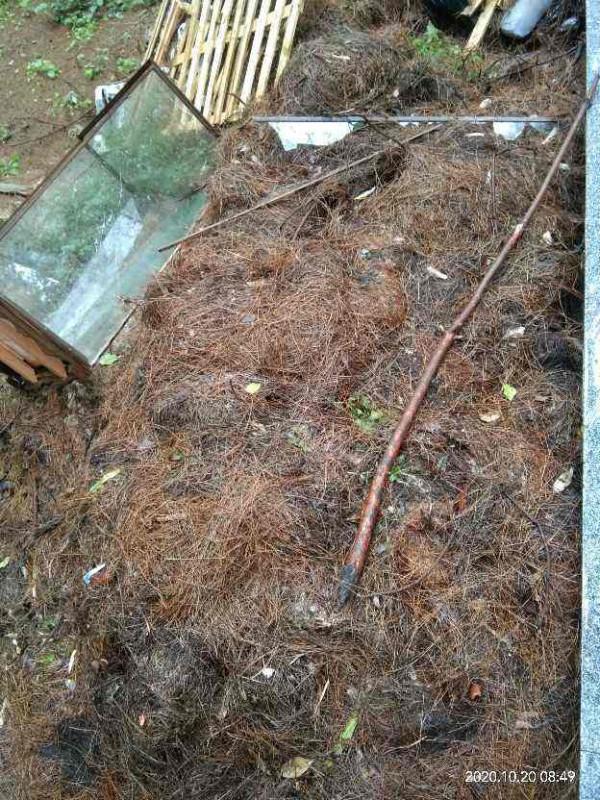 路邊撿4種“垃圾”，和土壤摻一起，就是養花萬能土，省一大筆錢