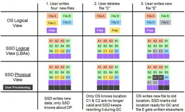 Win11時代再難有用武之地？聊聊那些沒落的軟體們