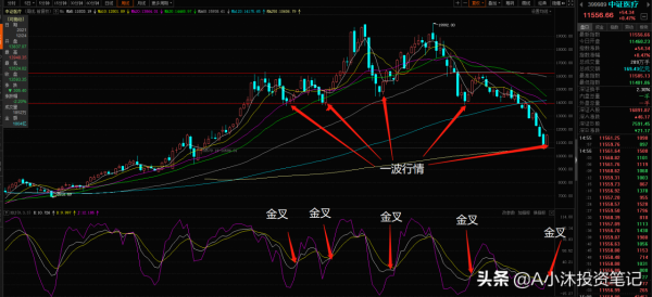 醫療本週大漲8&percnt;，白酒行情還未結束！重倉的朋友看過來