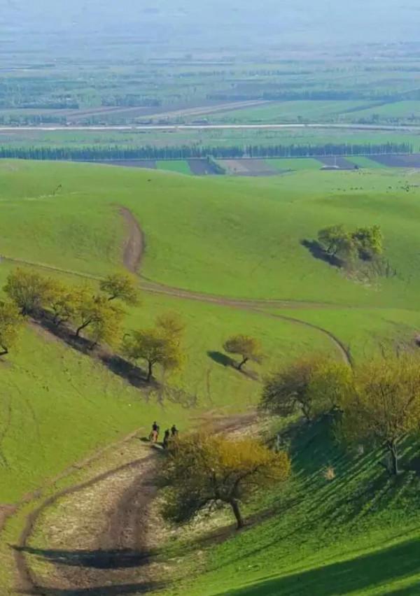 分享大美新疆 景色怡人 美美美