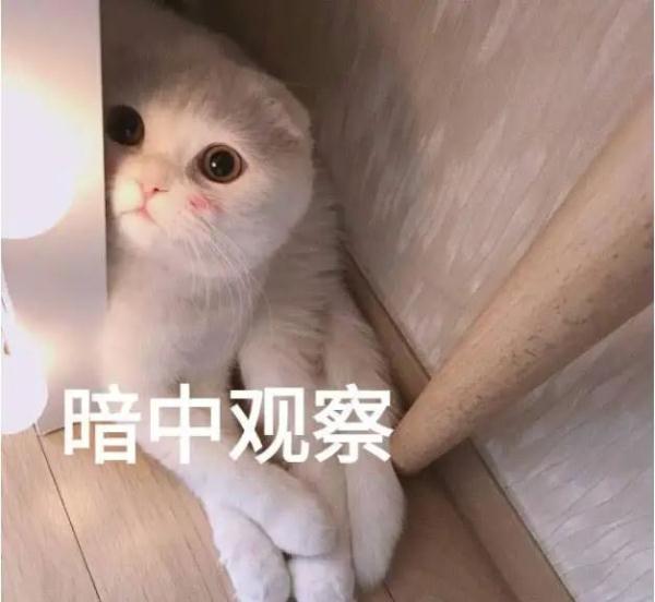 藝術體操、花樣游泳為啥沒有男子隊？