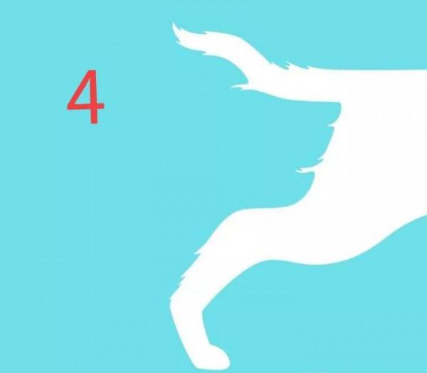 &num;是什麼決定了一個人的前途和命運&num;