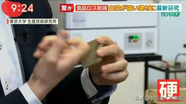 用白菜蓋房子，當作建材是混凝土的４倍，不但環保還可以拿來吃？