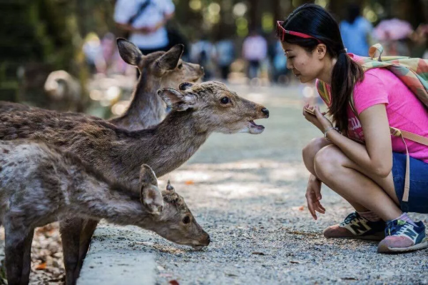海外風光還原度超高的國內“平替”