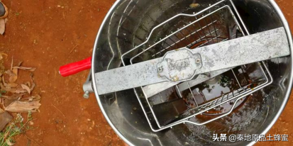 為什麼養蜂老齡化越來越嚴重「①意蜂農篇」