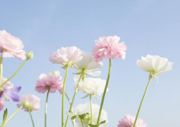 雖然很傷感,但這才是現實⋯⋯ 雖然很傷感,但這才是現實⋯⋯