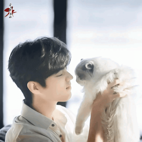 男明星的溫柔與寵溺都給了萌寵,好羨慕 男明星的溫柔與寵溺都給了萌寵,好羨慕