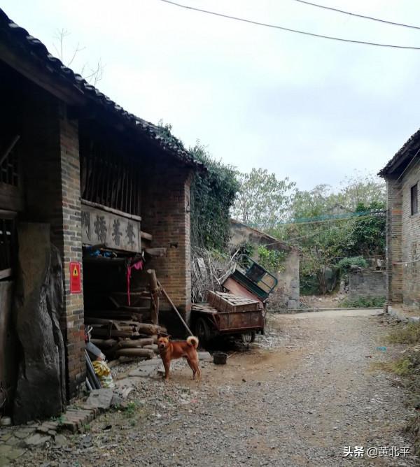 廣西南寧隆安縣那桐鎮那門村,光緒年間國子監的太學生牌匾為證 廣西南寧隆安縣那桐鎮那門村,光緒年間國子監的太學生牌匾為證