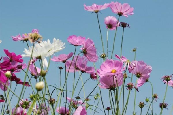 我人生的高光時刻 我人生的高光時刻