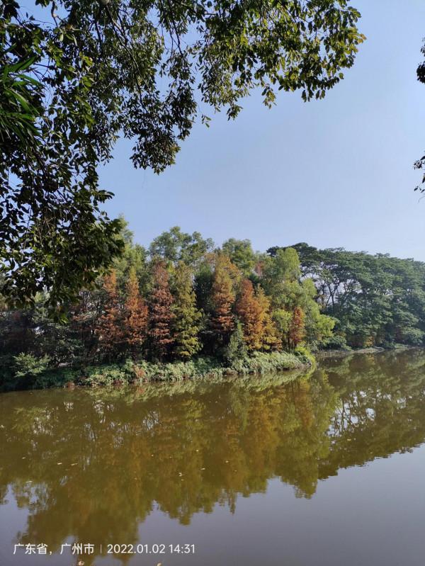 大夫山森林公園 大夫山森林公園