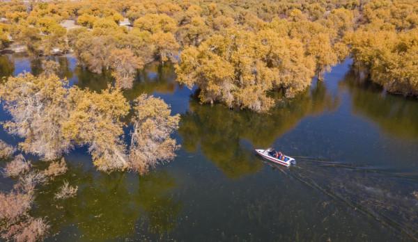 溼地秋韻入畫來 溼地秋韻入畫來