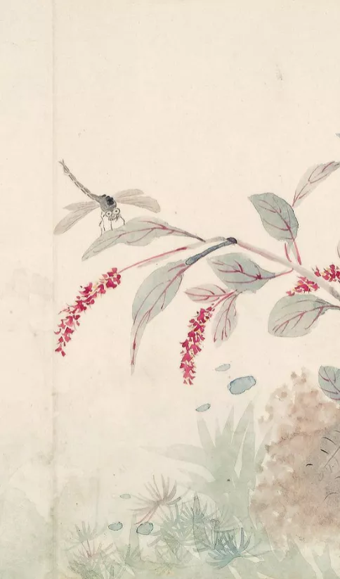 清代女子畫秋日荷塘,美醉了 清代女子畫秋日荷塘,美醉了