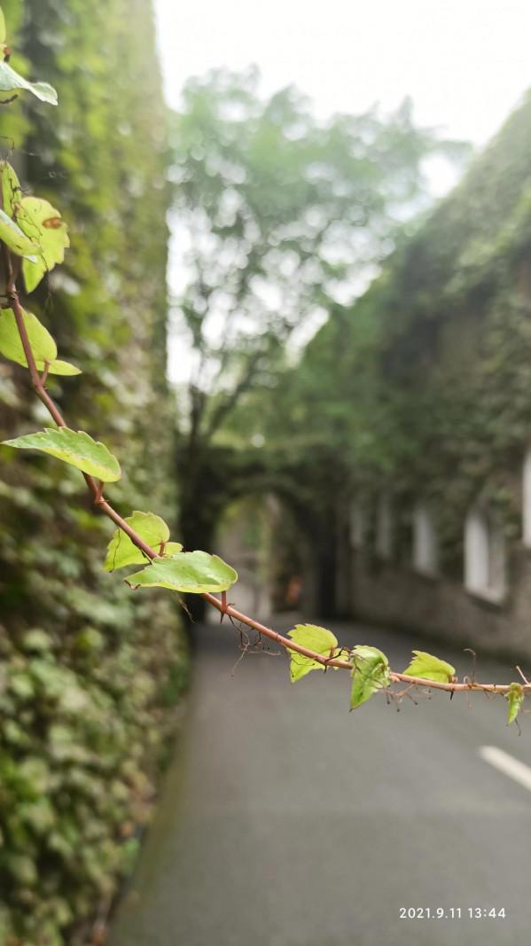休閒時光（8）海石公園