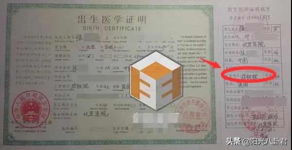 6位男星私生子近況,顏值都不如親爸,有三位和私生子反目成仇 6位男星私生子近況,顏值都不如親爸,有三位和私生子反目成仇