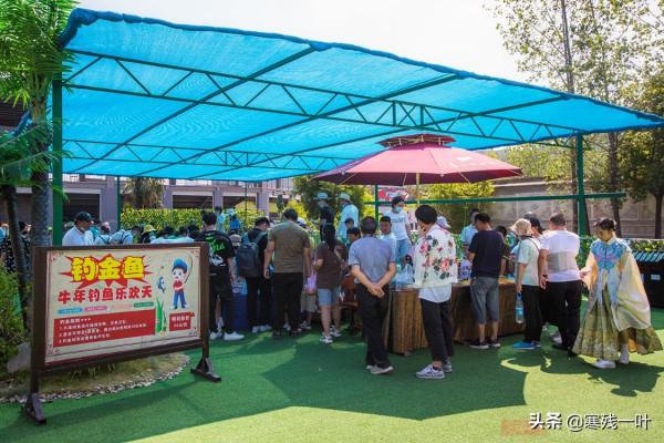 一個簡易魚池，一根魚竿30塊，遊客路過就邁不開腿，為何這麼火？