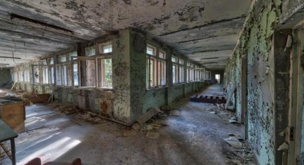 切爾諾貝利核爆後,受輻射的人腐爛而亡,真的出現過變異巨鼠嗎? 切爾諾貝利核爆後,受輻射的人腐爛而亡,真的出現過變異巨鼠嗎?