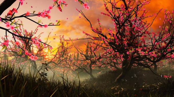 新一輪畫大餅開始，卻早已失去熱情，某酷帶著2022年國漫片單來襲