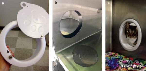 假期外出,如何給貓咪找靠譜寄養? 假期外出,如何給貓咪找靠譜寄養?