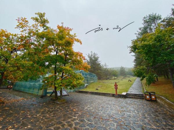 吉林敦化有一處古墓群，歷史超過千年，已是全國重點文物保護單位