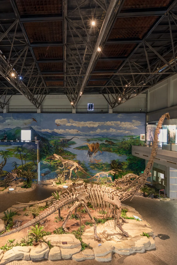 四川從哪裡來? 四川從哪裡來?