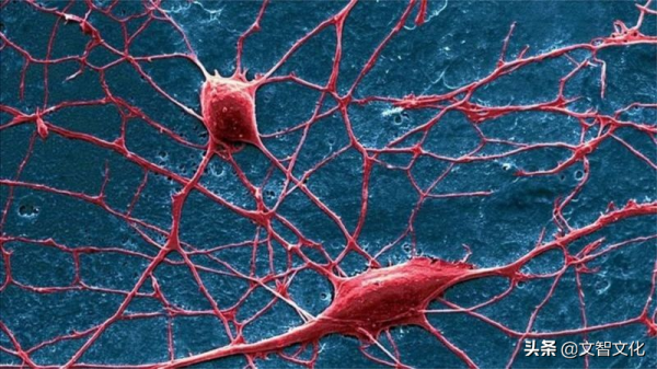 如果坐在沙發上,僅用意念的力量可以強身健體該有多好 如果坐在沙發上,僅用意念的力量可以強身健體該有多好