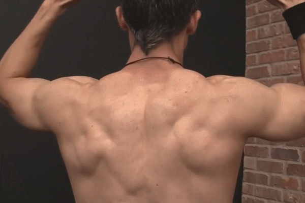 單臂划船不給力?改用“俯身啞鈴划船”,練厚背闊肌變簡單 單臂划船不給力?改用“俯身啞鈴划船”,練厚背闊肌變簡單