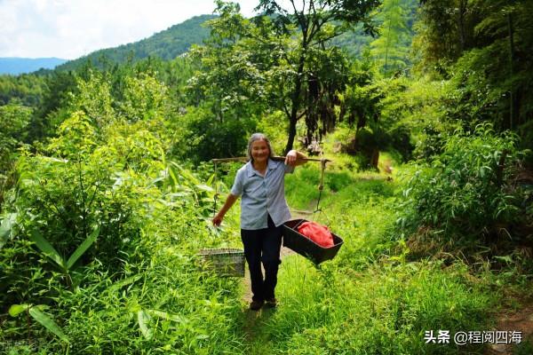 山東農村人的四大優秀品質，令我敬仰和感動