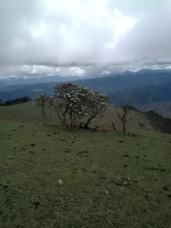 人少、景美、不扎堆!去這10個小眾旅行地,悠閒地呆上幾天 人少、景美、不扎堆!去這10個小眾旅行地,悠閒地呆上幾天