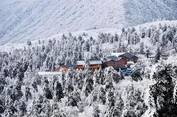 昨日大雪,來看峨眉山最真實的雪景 昨日大雪,來看峨眉山最真實的雪景