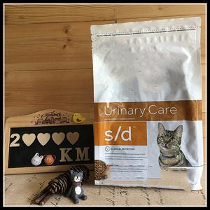 重要：貓尿結石的處方糧有哪些