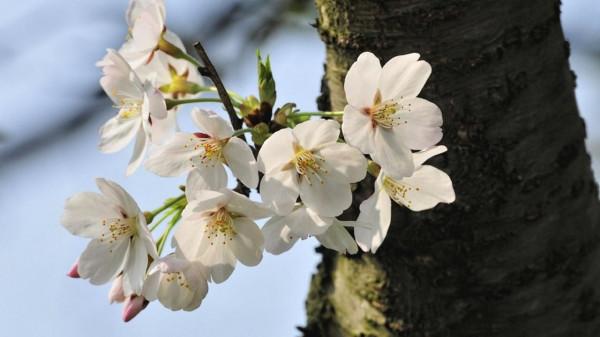 9月21日星座運勢:白羊蓄勢待發,天蠍信心十足,射手靈活變通 9月21日星座運勢:白羊蓄勢待發,天蠍信心十足,射手靈活變通