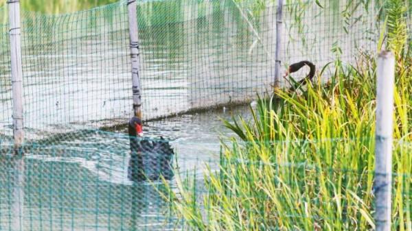 “中國第①水鄉”周莊沒人能抵抗的了，坐擁30000㎡親子樂園