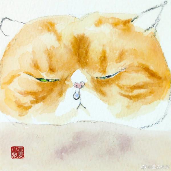 手繪水彩寫意大臉貓