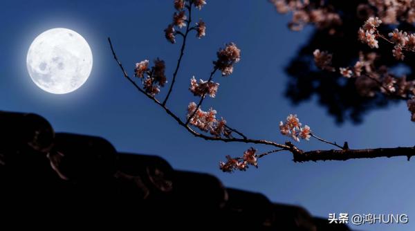 中秋|中秋月白,思念成行;年年久久,月圓人圓 中秋|中秋月白,思念成行;年年久久,月圓人圓
